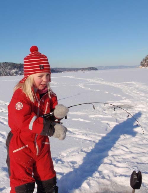 ingeborg hvitting