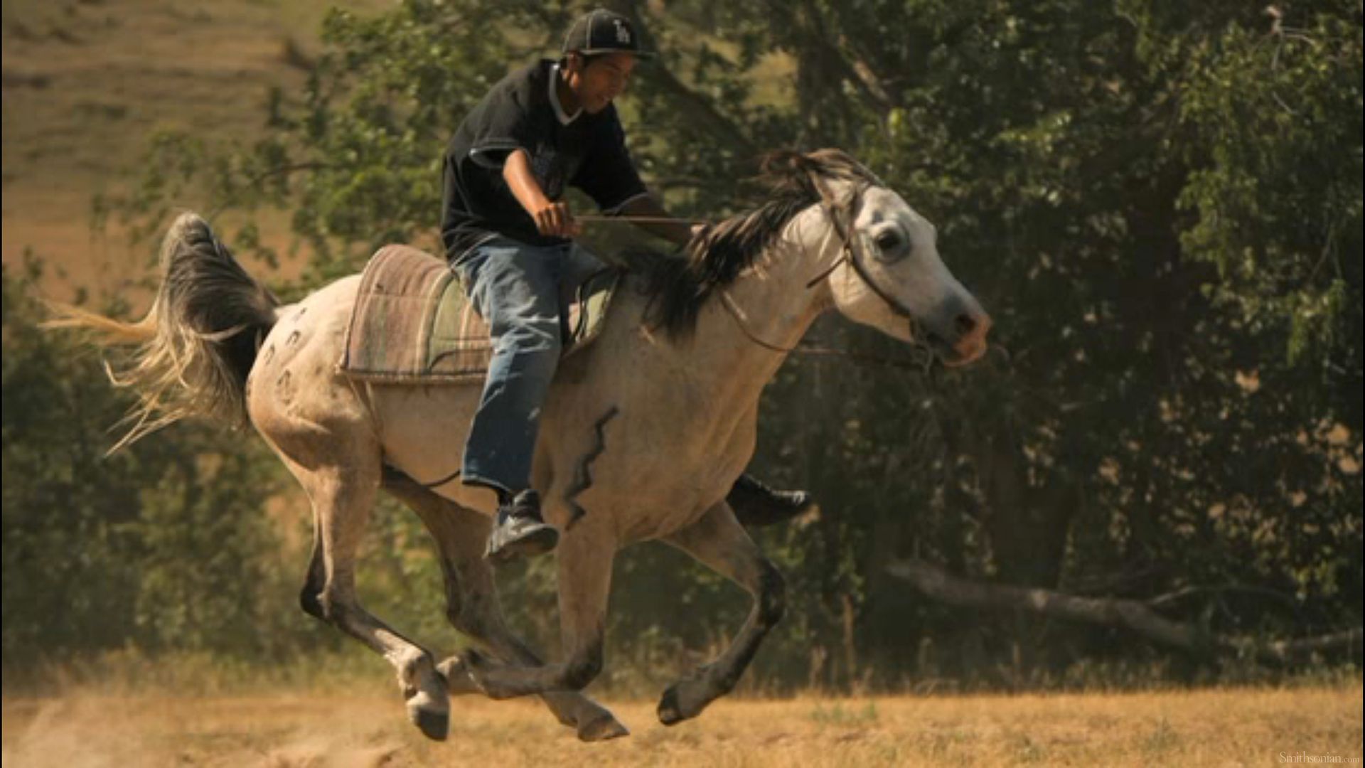 Lakota Rider No Saddle