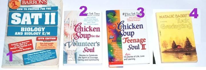 chicken soup for the teenage soul poems. Chicken Soup for the Teenage