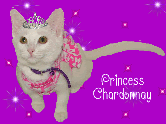 http://i2.photobucket.com/albums/y6/pinkdaze04/My%20Creations/l_96c2073edd8590baf267acb739386d13.gif