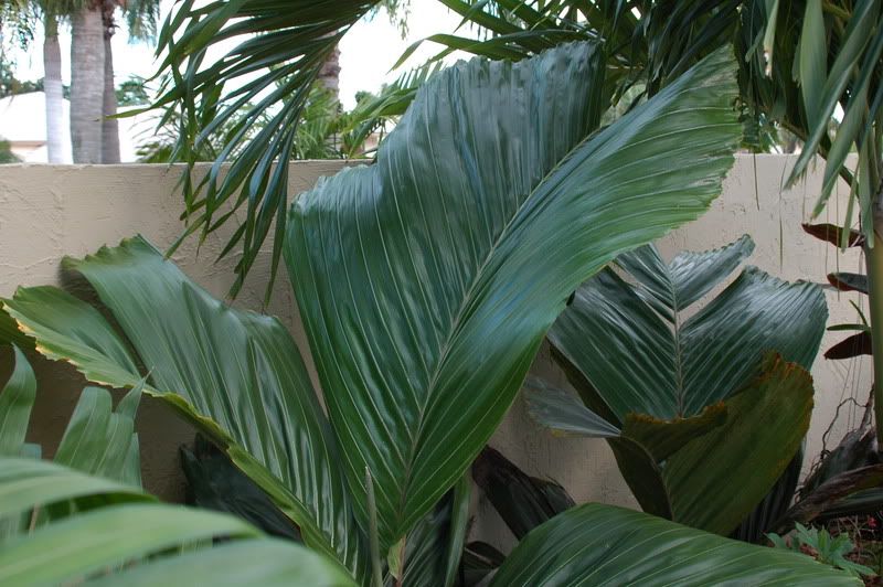 DSC_0038.jpg