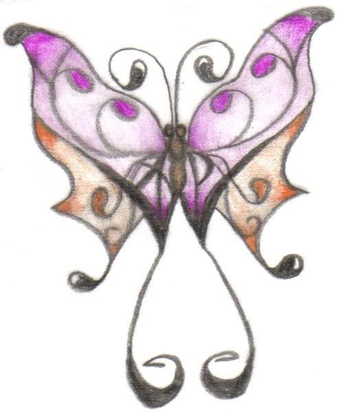 Japanese Butterfly Drawings