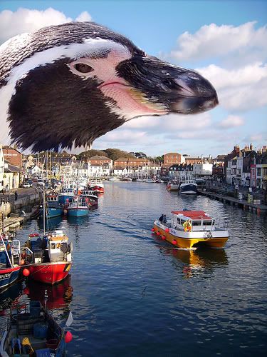 Pengor: Penguin of DOOM vs Weymouth