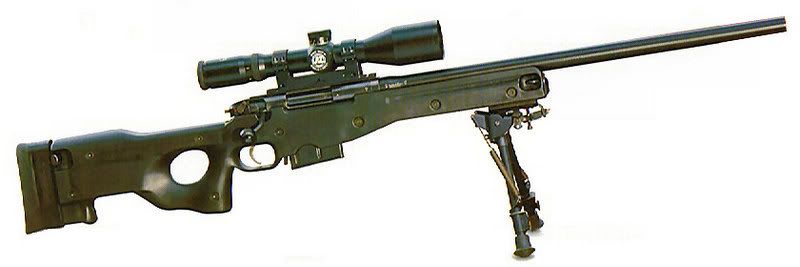 accuracy international rifles
