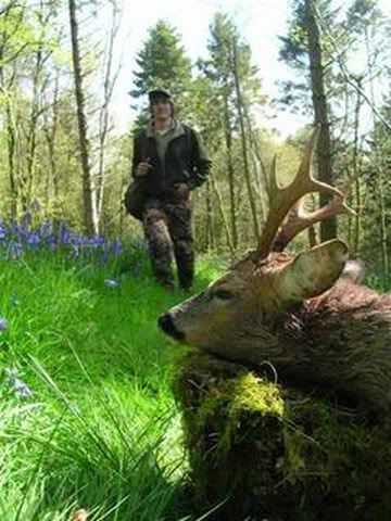 EXXPRESSbuck640x480.jpg