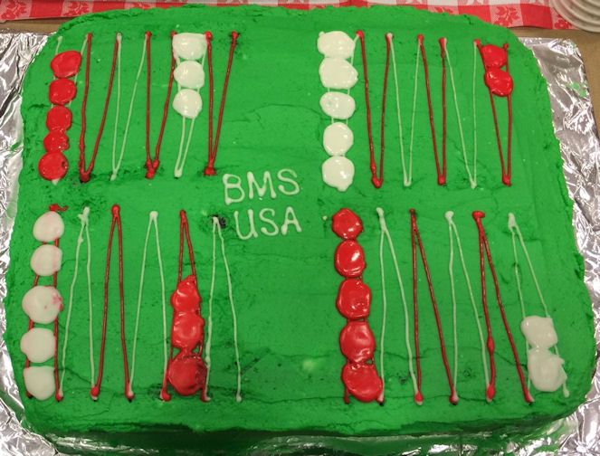  photo bms1a_zpshwoljlku.jpg