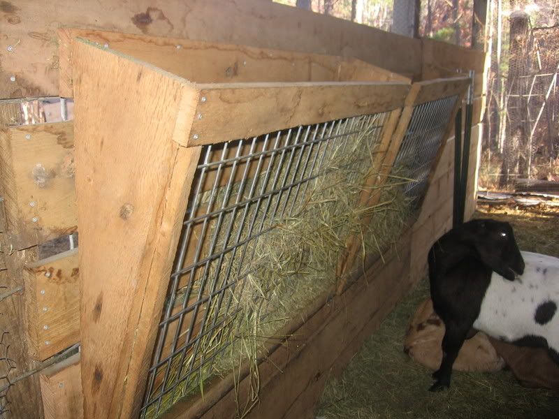 Pictures of your hay racks - Goats