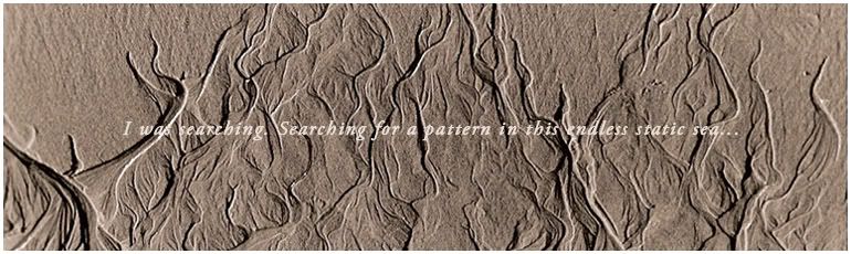 I was searching. Searching for a pattern in this endless static sea...