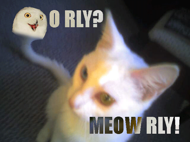 meow-rly.png