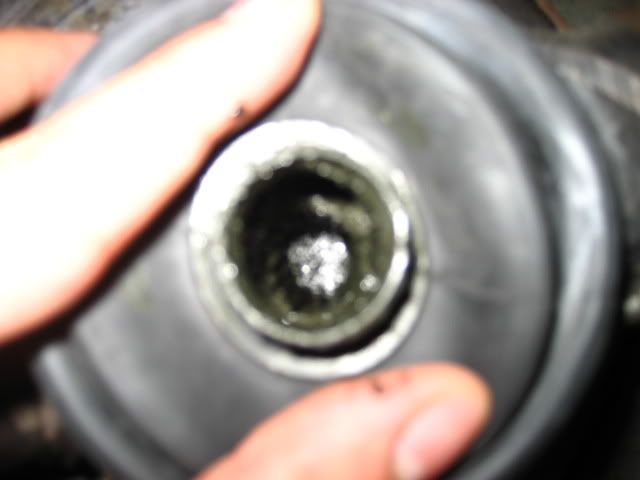 Posted Image