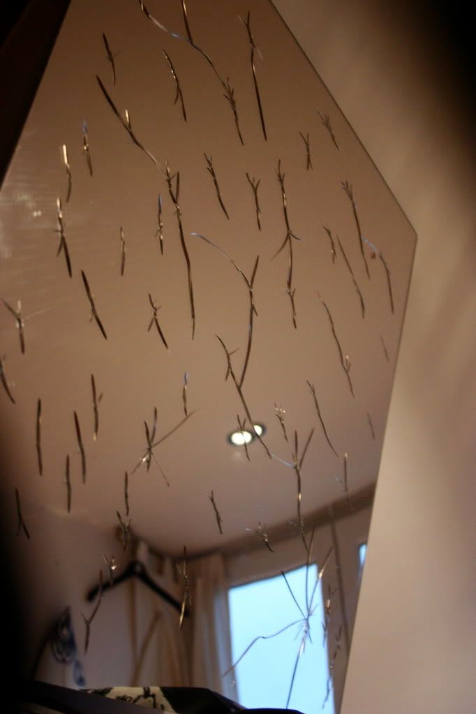 Cracking Mirror? Kit & Tab Muse