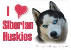 [verlinkte Grafik wurde nicht gefunden]