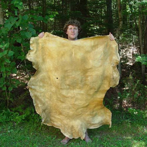 Elk Hide