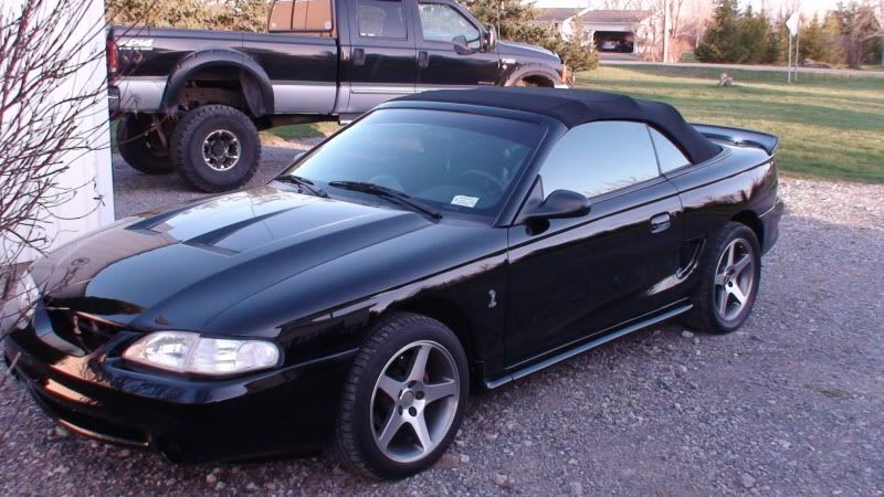 http://i2.photobucket.com/albums/y9/JACK1992VR4/Cobra/DSC01254.jpg