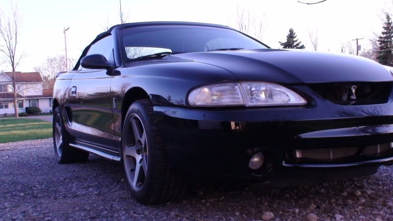 http://i2.photobucket.com/albums/y9/JACK1992VR4/Cobra/DSC01265.jpg