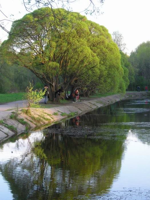 �� ���� �������� *)