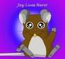 Click here to join degu_information