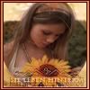 sunflower.jpg