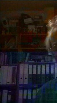 Snapshot 1 - Extract of received video image in Skype, showing an example of the corrupted image