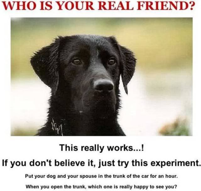 Friend.jpg