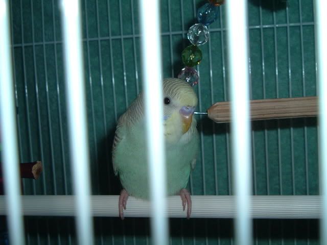DSCF0025.jpg
