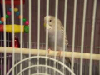 DSCN1776.jpg