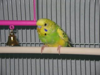 DSCN2668.jpg