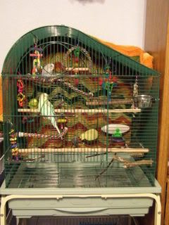 DSCN2672.jpg