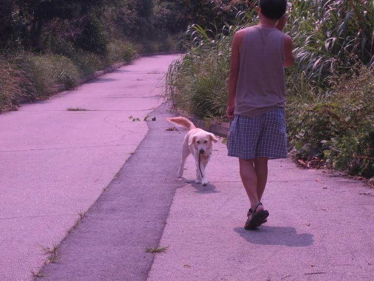 很聰明的小狗狗～～