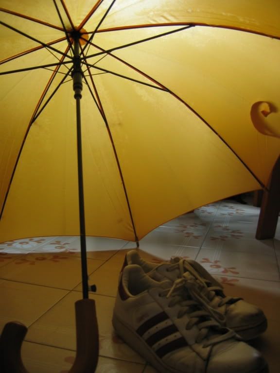 我濕透的鞋子和雨傘