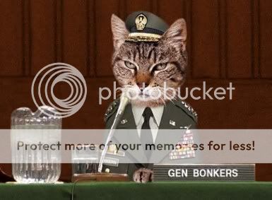 cat_commander.jpg