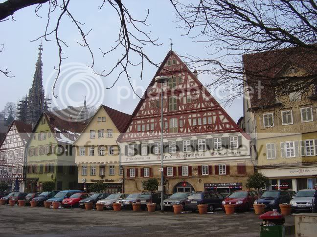 The Market PLACE banner