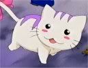 [PokeCommunity.com] the cat lovers club