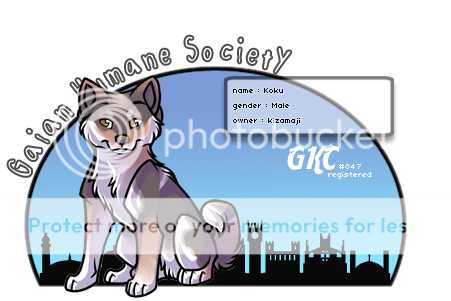 User Image