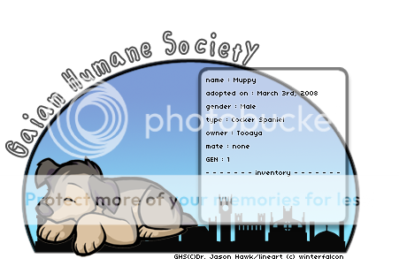 User Image