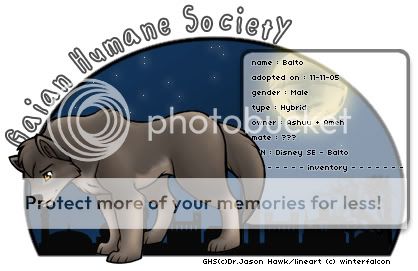 User Image