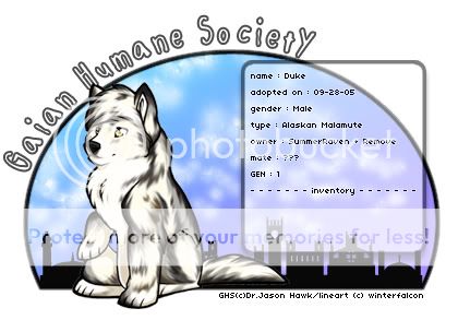 User Image