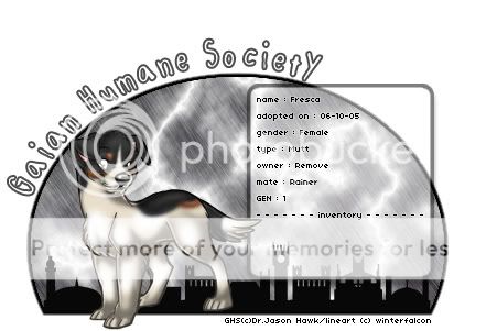 User Image