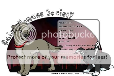 User Image