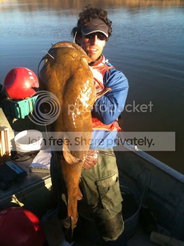 billwilliamsriver_flathead.jpg