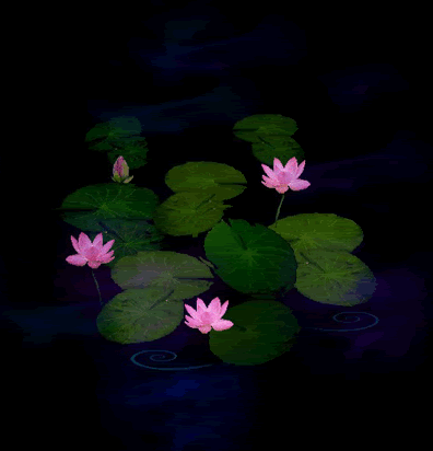 [原创]fireworks动态水波logo教程 | ps中级教程 - 中华图网 - 个性