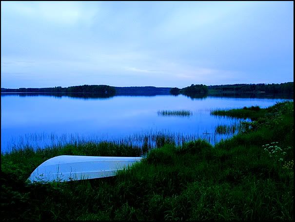 blue skinnskatteberg
