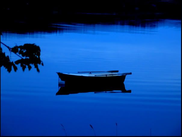 blue skinnskatteberg