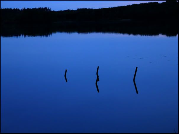 blue skinnskatteberg