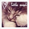 Image hosting by Photobucket