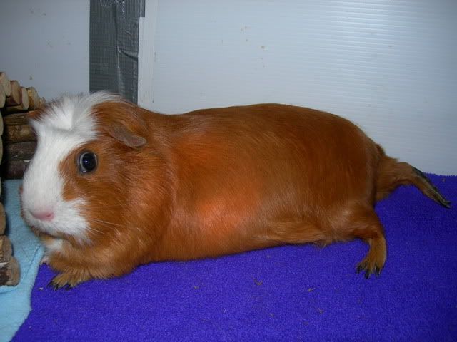 DSCN1017.jpg