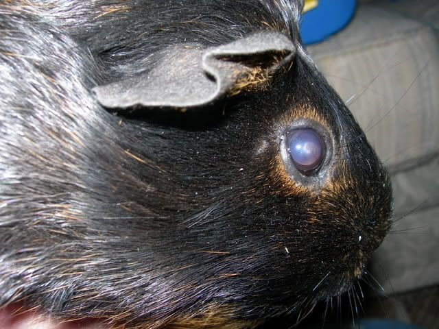 DSCN1323.jpg