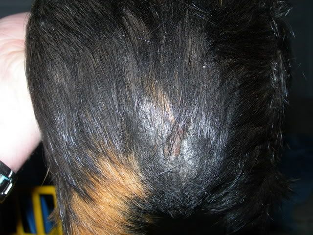 DSCN1324.jpg