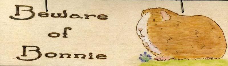 bewareofbonnie.jpg