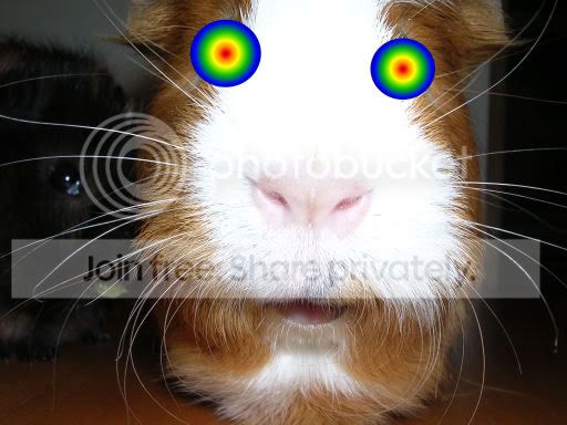 hypnopiggy.jpg
